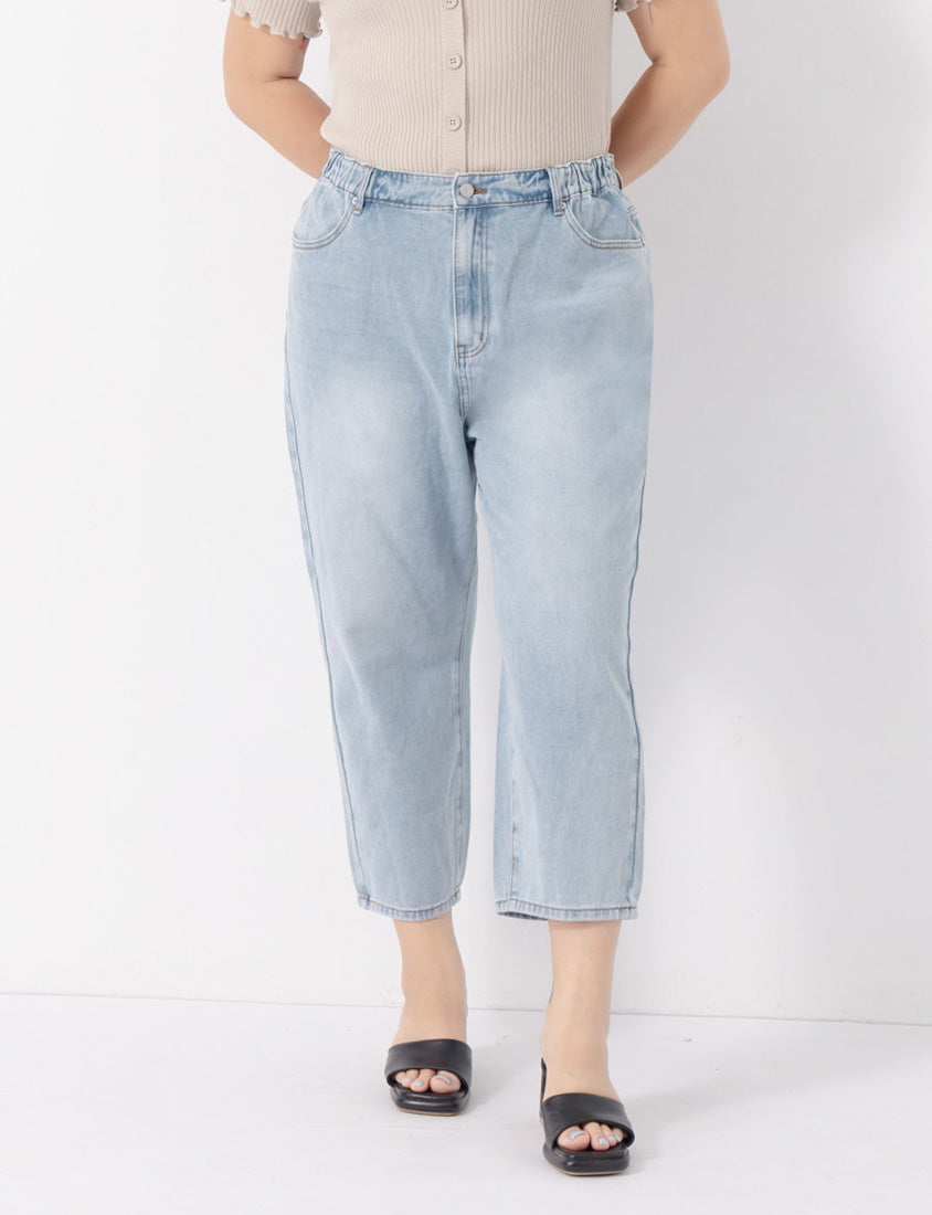 Standard Perfect Fit Plus Size Boyfriend Jeans