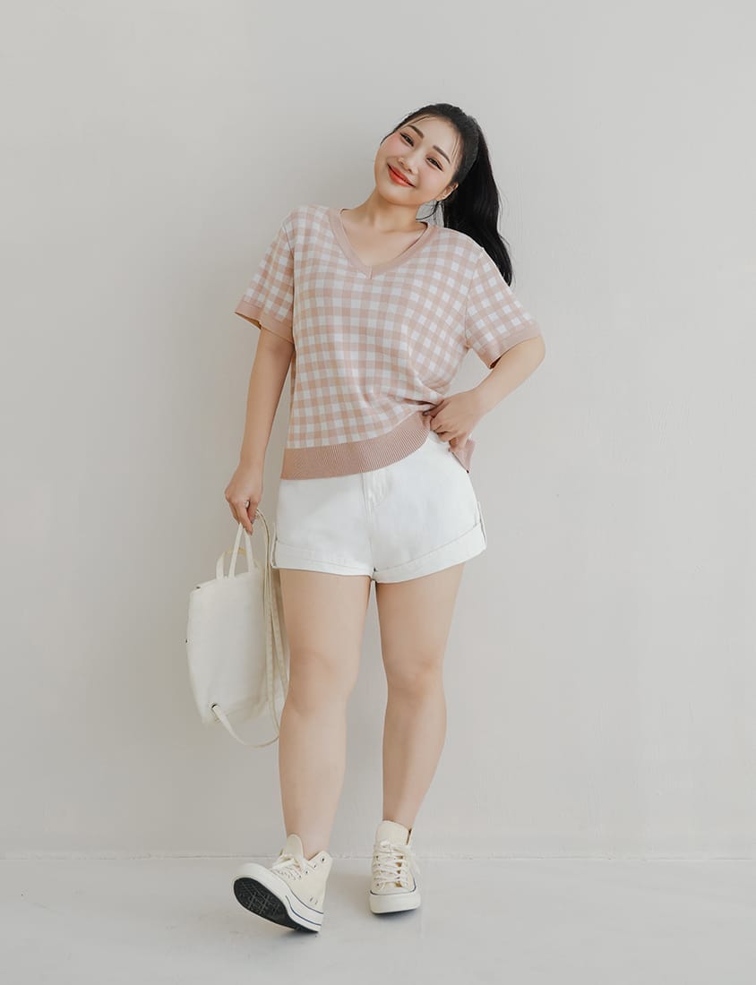 Plaid V-Neck Knit Plus Size Short Sleeve Top