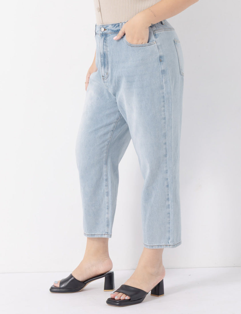 Standard Perfect Fit Plus Size Boyfriend Jeans