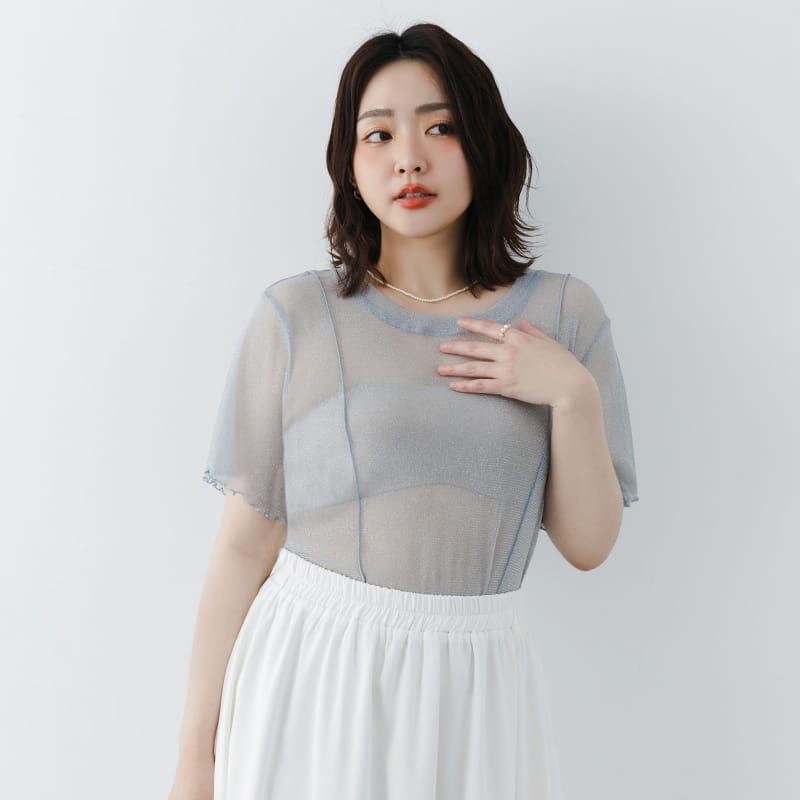 MISS. Shimmery Sheer Ruffle Trim Plus Size Top