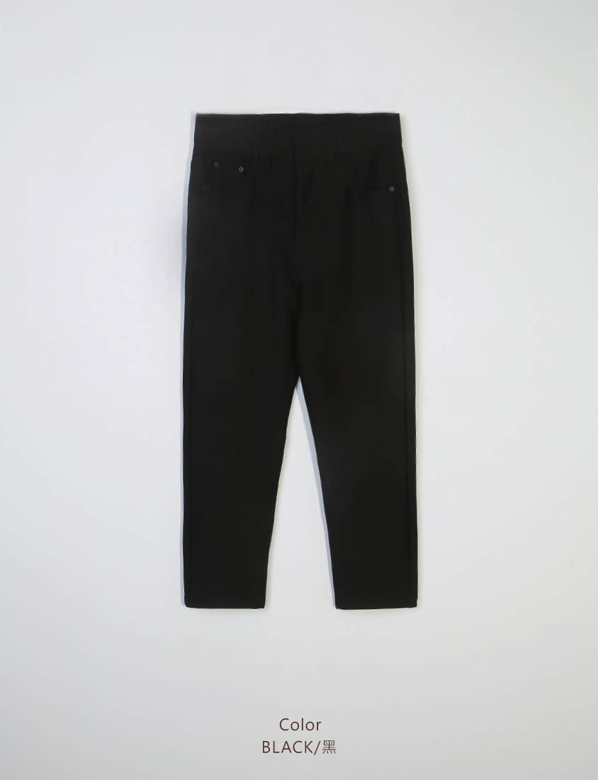 Perfect Proportion Anti-Pilling Stretch Plus Size Pants (Petite Length)