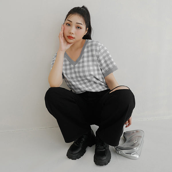 Plaid V-Neck Knit Plus Size Short Sleeve Top