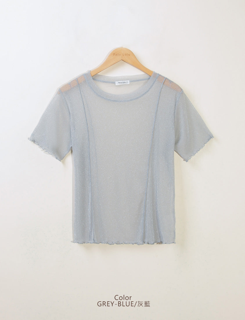 MISS. Shimmery Sheer Ruffle Trim Plus Size Top