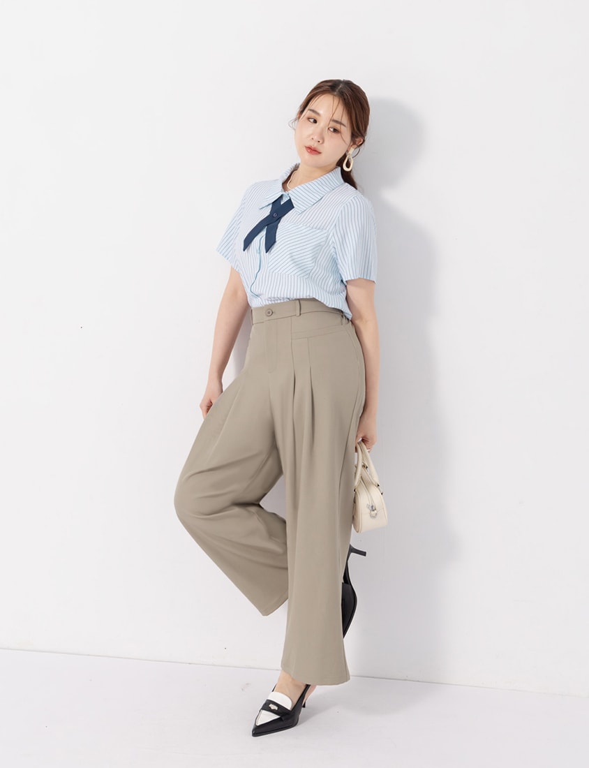 MISS. Wrinkle-Resistant Elastic Back Pleated Plus Size Trousers