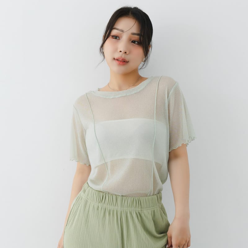 MISS. Shimmery Sheer Ruffle Trim Plus Size Top