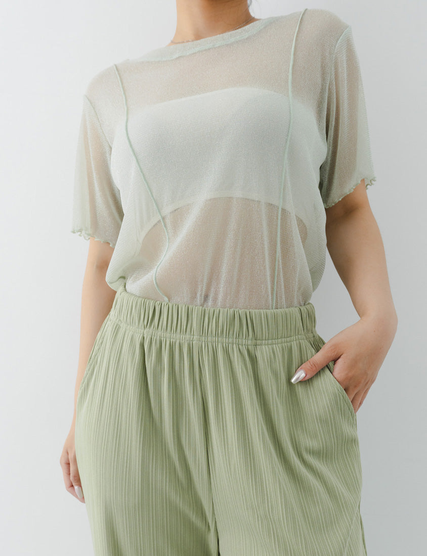 MISS. Shimmery Sheer Ruffle Trim Plus Size Top