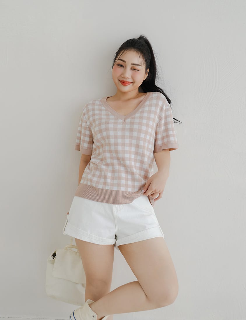 Plaid V-Neck Knit Plus Size Short Sleeve Top