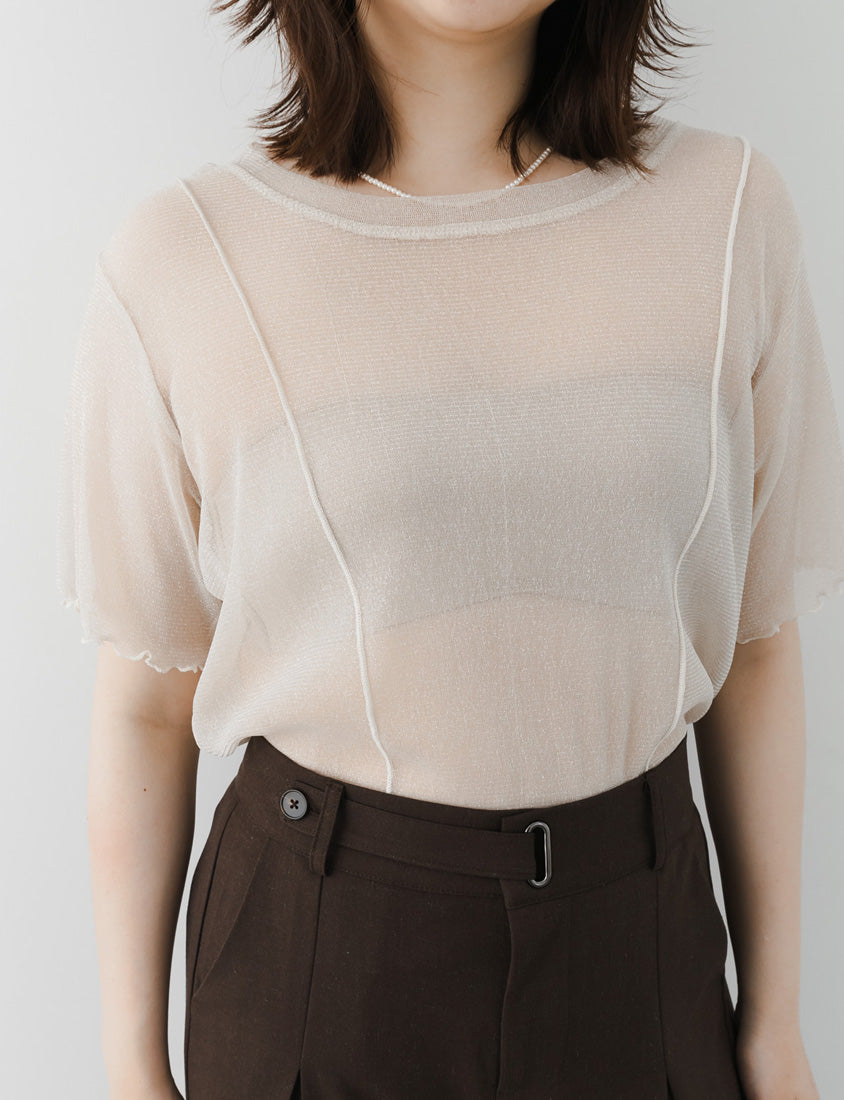 MISS. Shimmery Sheer Ruffle Trim Plus Size Top