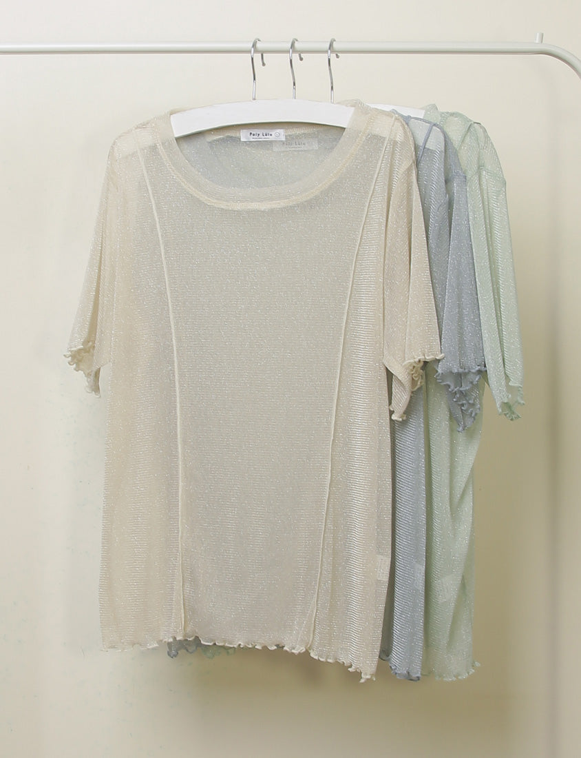 MISS. Shimmery Sheer Ruffle Trim Plus Size Top