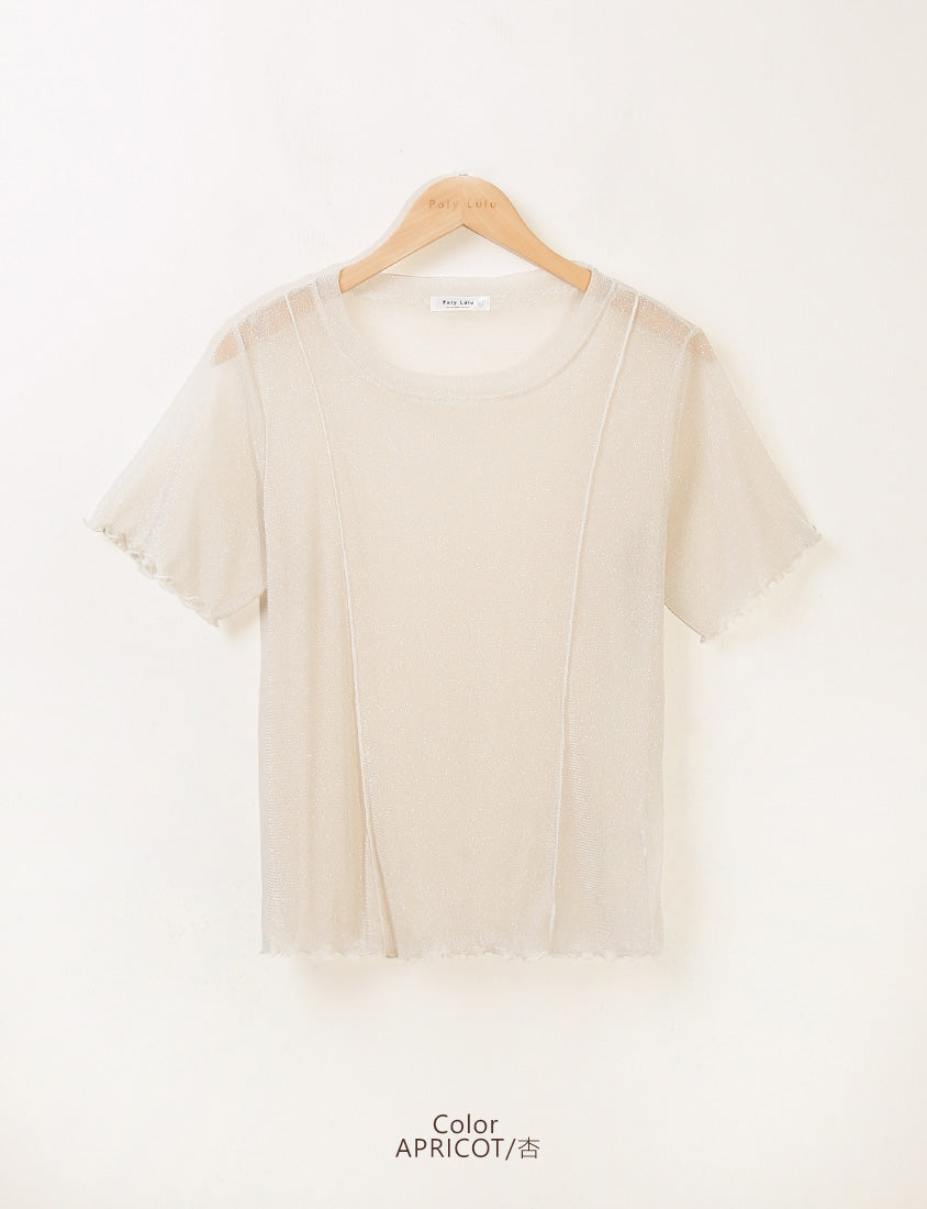 MISS. Shimmery Sheer Ruffle Trim Plus Size Top