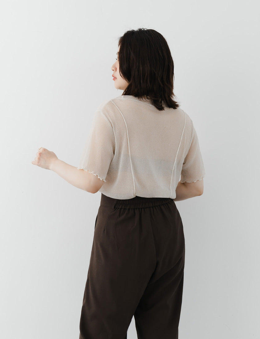 MISS. Shimmery Sheer Ruffle Trim Plus Size Top