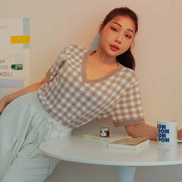 Plaid V-Neck Knit Plus Size Short Sleeve Top