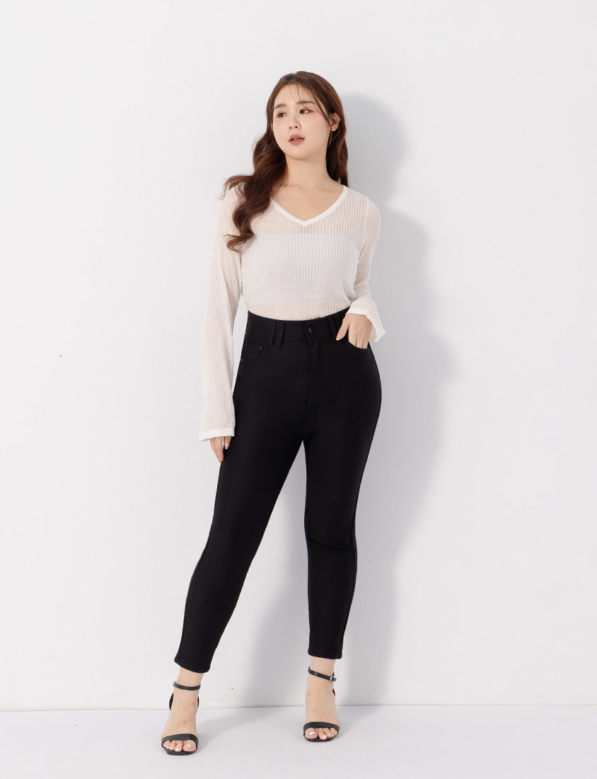 Perfect Proportion Anti-Pilling Stretch Plus Size Pants (Regular Length)