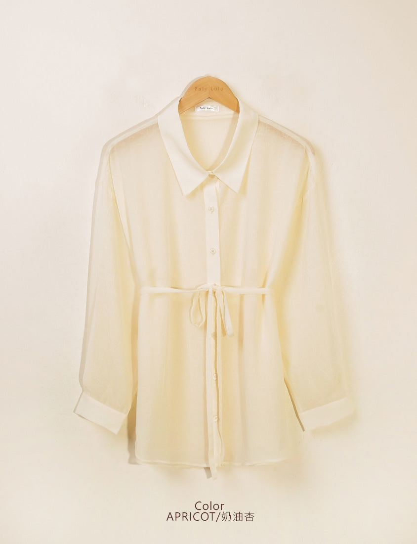 Flowy Crinkled Sheer Plus Size Blouse (With Tie)
