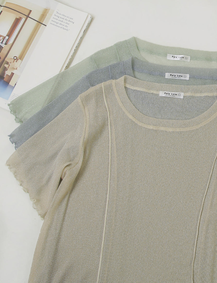 MISS. Shimmery Sheer Ruffle Trim Plus Size Top